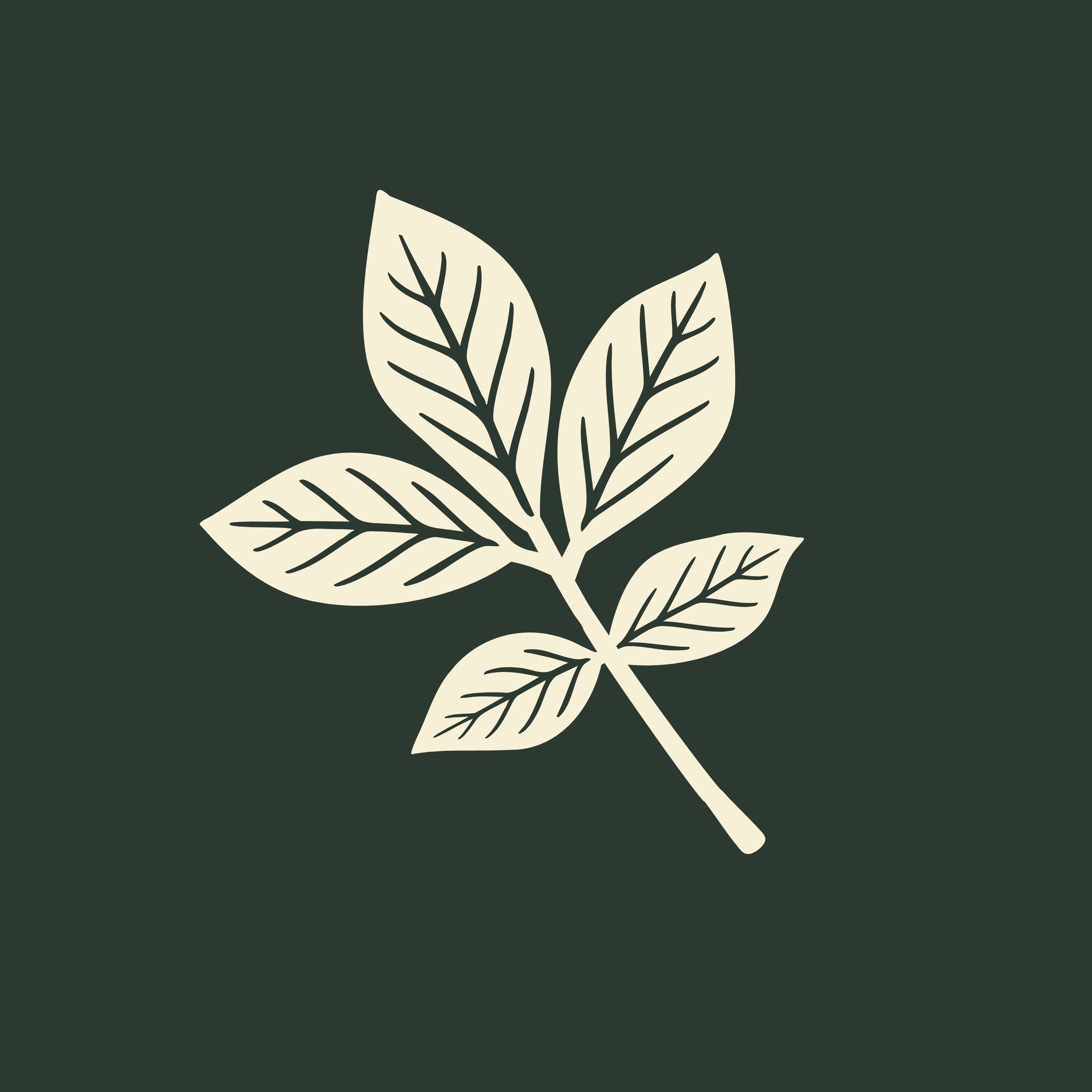 Arbor + Field logo